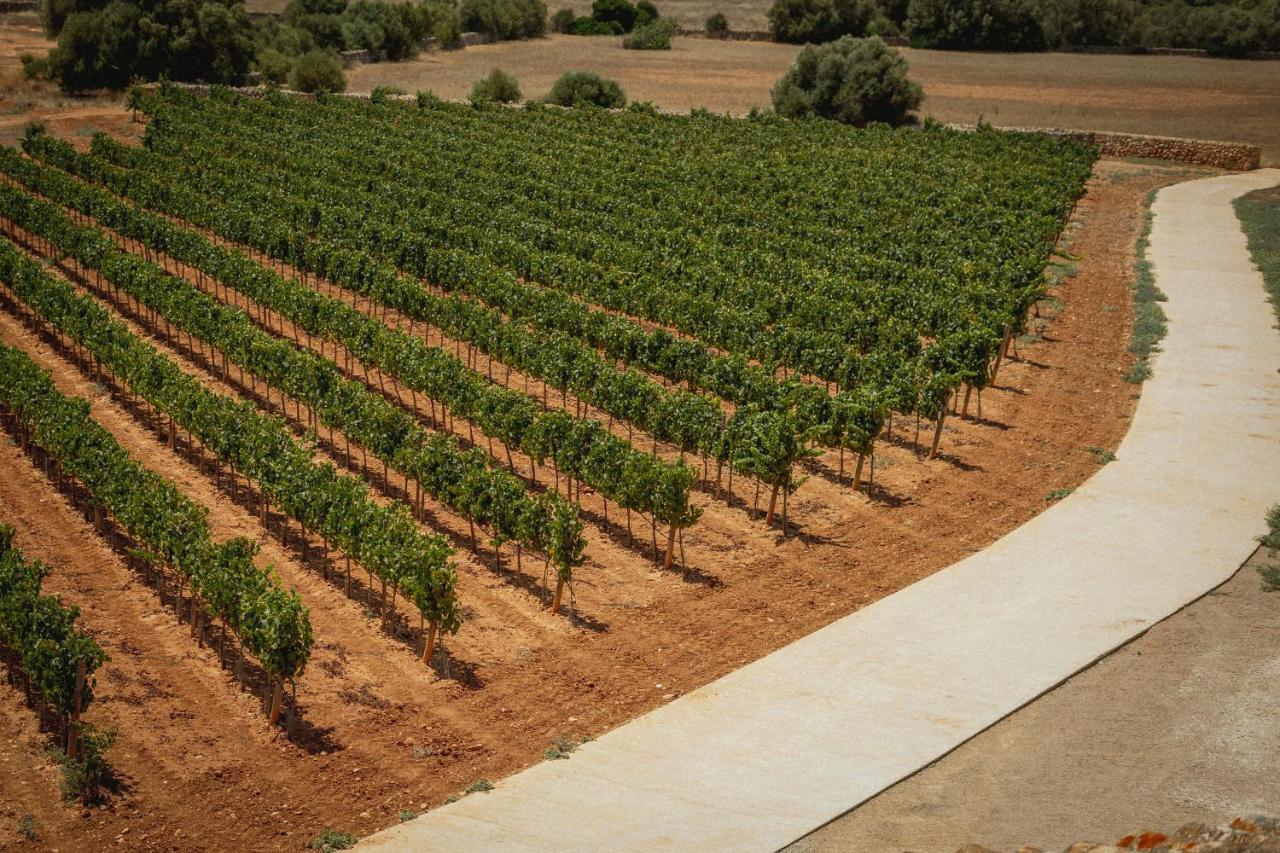 Finca Gomera By Itinerem - Adults Only Llucmajor (Mallorca) Exterior photo